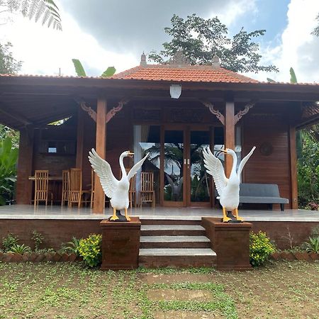 Lembah Cinta Mayungan Baturiti Luaran gambar