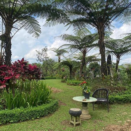 Lembah Cinta Mayungan Baturiti Luaran gambar