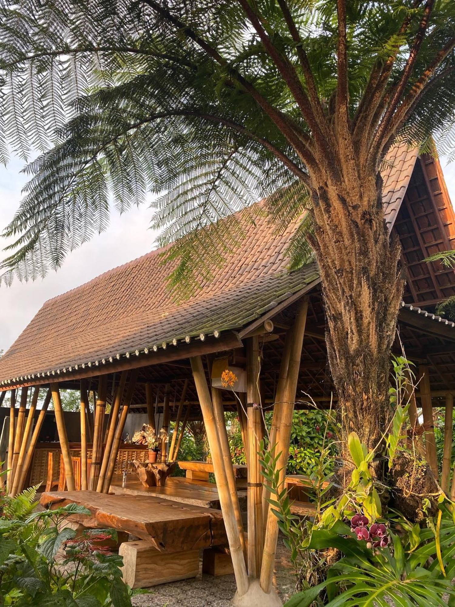 Lembah Cinta Mayungan Baturiti Luaran gambar