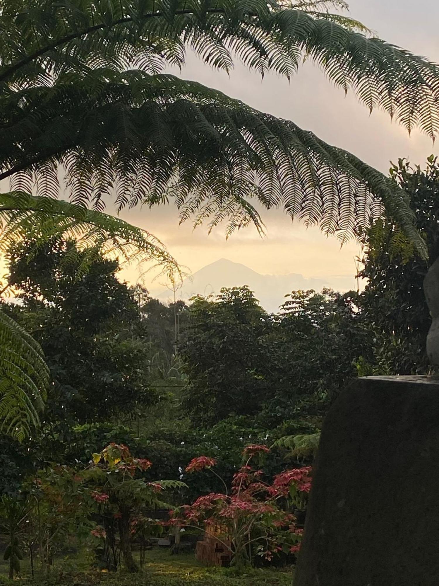Lembah Cinta Mayungan Baturiti Luaran gambar