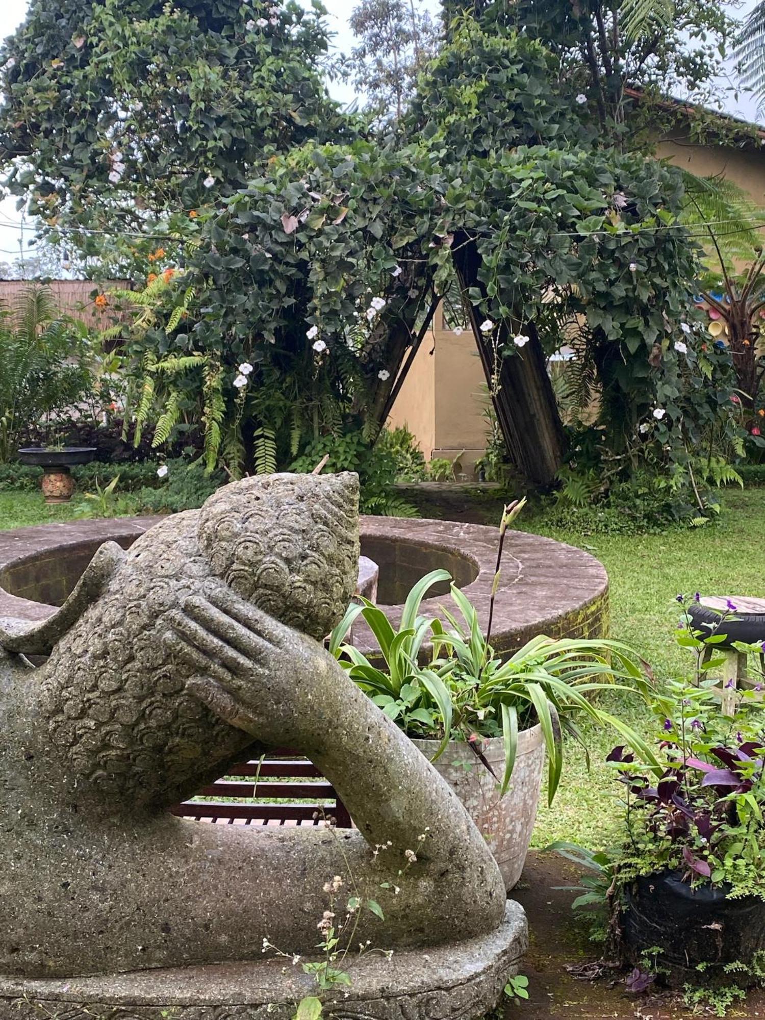Lembah Cinta Mayungan Baturiti Luaran gambar